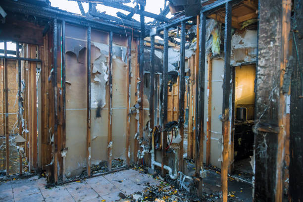 Professional Odor Removal technician working in Dover, OH