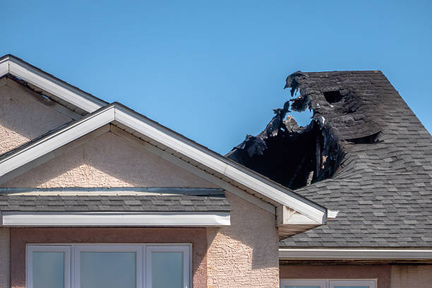 Top rated local Odor Removal specialists in Dover, OH
